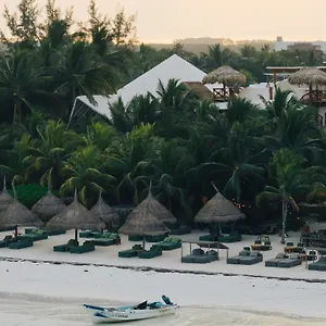 Casa Tortugas Petit & Hotell