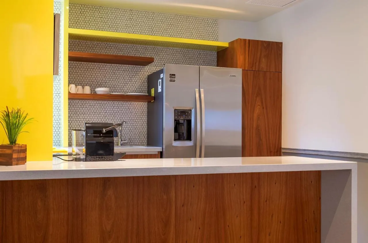 מלון פלאייה דל כרמן Singular Joy Vacation Rentals